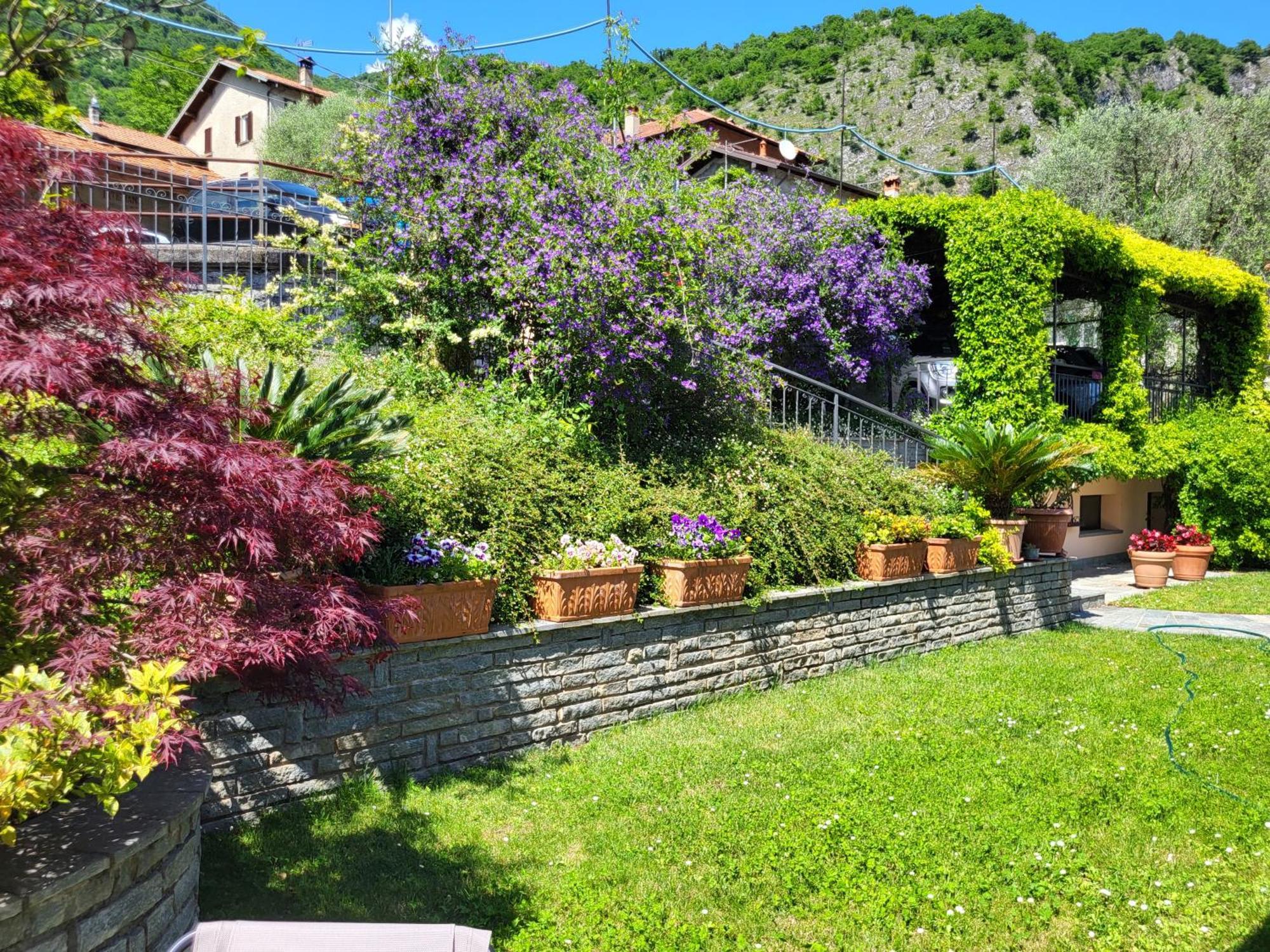 Casa Intignano - Appartamento Con Terrazzo Vista Lago Tremezzo Exterior foto